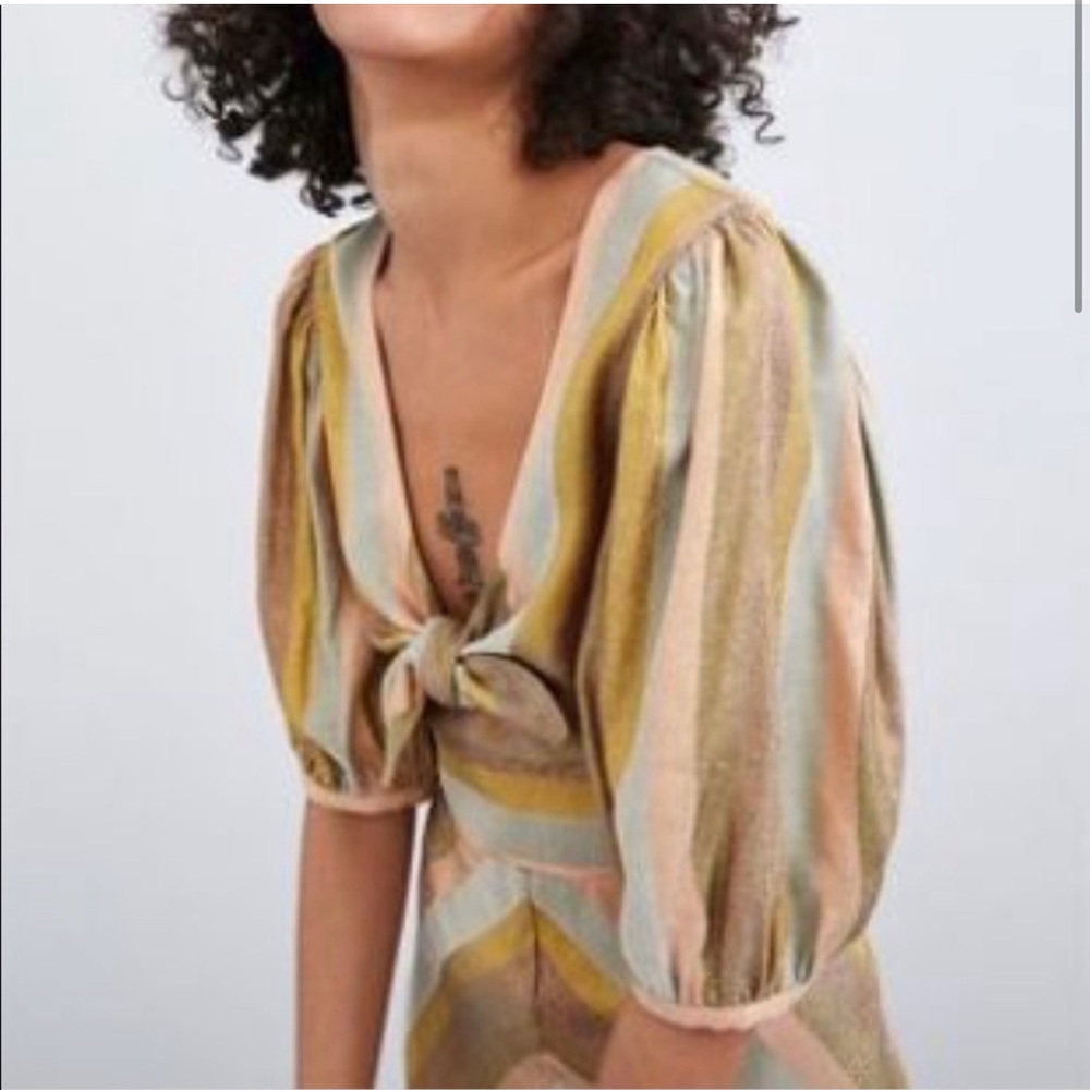 Zara metallic thread crop top